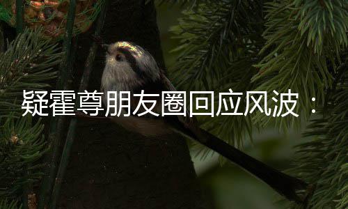 我都没尊朋真的做回应什么疑霍友圈风波